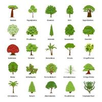 tipos comuns de árvores vetor