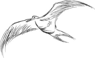 ilustração em vetor de skimmers pretos voadores desenhados à mão. belos elementos de design de animais, desenho a tinta