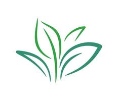 orgânico logotipo. eco emblema. vegetal natural ícone. agricultura e plantar crescendo vetor