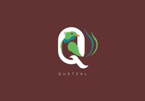 quetzal q monograma, vetor logotipo