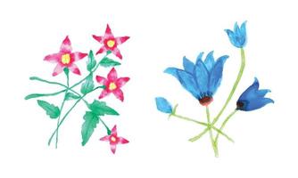 desenhando do Rosa flores e azul flores, aguarela pintura rosa vetor ilustração