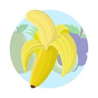 banana fruta plano ícone vetor