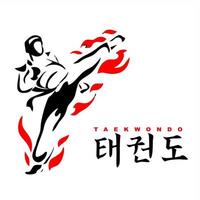 logotipos e símbolos sobre taekwondo vetor