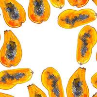 aguarela laranja cor quadro, Armação do tropical frutas mamão fronteira para decoração vetor