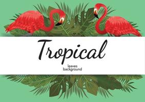 tropical folhas fundo verde ilustração vetorial design vetor