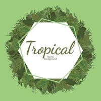 tropical folhas fundo verde ilustração vetorial design vetor