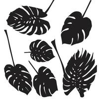 silhueta tropical monstera folhas. Preto isolado em branco fundo vetor