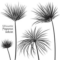 silhueta tropical Palma papiro folhas Preto isolado em branco fundo. vetor