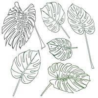 silhueta tropical monstera folhas. Preto isolado em branco fundo vetor