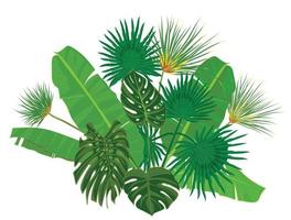 mão desenhado tropical Palma folhas composição com selva exótico flor em branco fundo botânico vetor ilustração