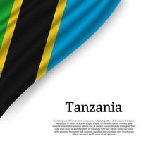 acenando bandeira do Tanzânia vetor
