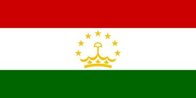 tajiquistão simples bandeira corrigir tamanho, proporção, cores. vetor