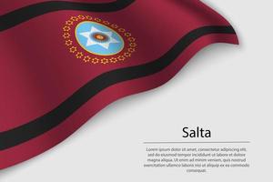 onda bandeira do Salta é uma Estado do Argentina vetor