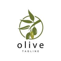 Oliva logotipo, Oliva óleo plantar vetor, natural ervas saúde remédio projeto, ilustração modelo ícone vetor