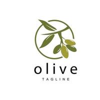 Oliva logotipo, Oliva óleo plantar vetor, natural ervas saúde remédio projeto, ilustração modelo ícone vetor