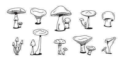 conjunto de doodle colorido cogumelo. vários cogumelos desenho plano desenhado de mão. champignon, chanterelle e shiitake. vetor