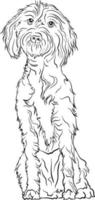 razoável cachorro procriar rabisco estilo linha desenhando vetor Preto e branco ilustração