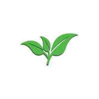 natural verde folha logotipo. com a ilustração logotipo Projeto dentro uma moderno estilo. uma logotipo para saúde e Cuidado. vetor