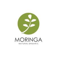 verde natural moringa folha logotipo modelo isolado em branco fundo. vetor