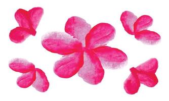 Rosa flores em uma branco fundo, aguarela floral ilustração definir. flores elementos coleção vetor