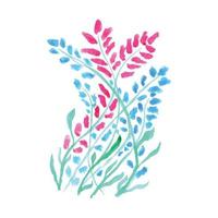 uma aguarela ilustração do uma plantar com azul e Rosa cores vetor