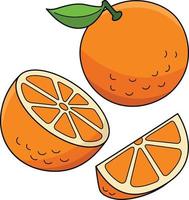 laranja fruta desenho animado colori clipart ilustração vetor