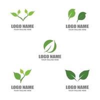 logotipos de folhas verdes vetor