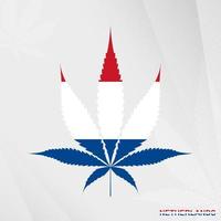 bandeira do Países Baixos dentro maconha folha forma. a conceito do legalização cannabis dentro Holanda. vetor