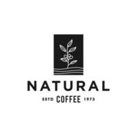 café feijão plantar ramo hipster mínimo logotipo vetor com folha simples linha esboço ícone para natural cafeteria conceito.