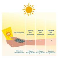 a diferente níveis do spf 15, 30 e 50. proteger uvb raios e permitir fótons através a pele. comparação do Sol proteção com protetor solar. pele Cuidado e beleza conceito ilustração. vetor