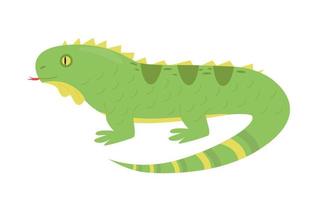 ilustração do a iguana. lagarto personagem vetor