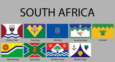 todos bandeiras do regiões sul África vetor
