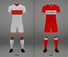 futebol kit do hoffenheim 2018-19, camisa modelo vetor