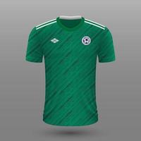 realista futebol camisa , norte Irlanda casa jérsei modelo para futebol kit. vetor