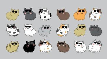 gato com oculos de sol desenho animado personagem conjunto vetor