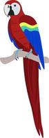 tropical pássaro. brilhante papagaio com vermelho, azul e amarelo penas em uma ramo. vetor