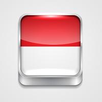 bandeira da indonésia vetor