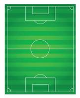 campo de futebol clássico com revestimento verde bicolor
