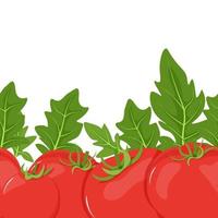 desatado fronteira do vermelho tomates e verde folhas vetor