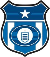 futebol escudo futebol crachá com Estrela - Esportes ilustração vetor
