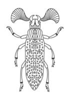 ilustração de livro para colorir fanous beetle vetor