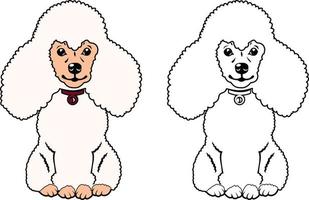 miniatura poodle sentado vetor ilustração linha desenhando com cores grampo arte.