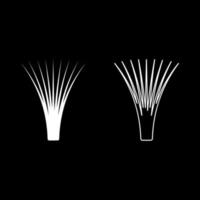 comestível Relva capim-limão cymbopogon citratus especiarias vegetal ervas plantar conjunto ícone branco cor vetor ilustração imagem sólido preencher esboço contorno linha fino plano estilo