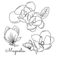 Preto e branco linha ilustração do magnólia flor em uma branco fundo vetor