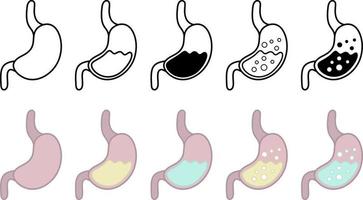 vetor humano estômago gráfico Projeto. metabolismo ícones. digestivo sistema conceito. ilustração