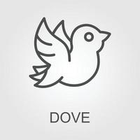 pomba ícone - a partir de animais de estimação, veterinario e veterinário ícones, animal ícones vetor
