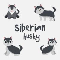 conjunto de cão husky siberiano fofo vetor