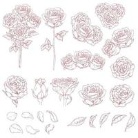esboço de flores rosas desenhadas à mão, esboço de desenho vetorial vetor