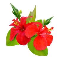 realista detalhado 3d vermelho hibisco flor definir. vetor