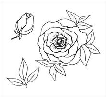 desenhado à mão vetor estoque ilustração. floral definir, rosa com florescendo pétalas, flor broto, filial, folhas. para impressões, tatuagens, marcha 8, cartões postais, adesivos, primavera, verão Projeto.